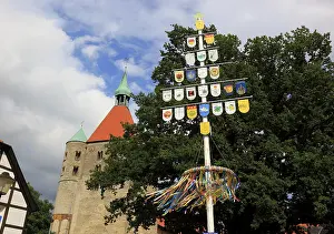 Romanesque Church Building Drucke: Guild tree in front of St. Bonifatius