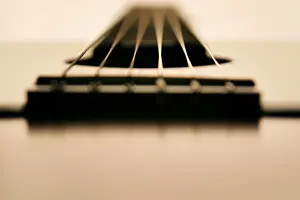 Music Instrument Still Life Drucke: Guitar