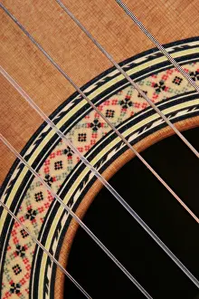 Music Instrument Detail Drucke: Guitar