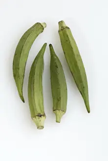 Malvaceae Plant Drucke: Gumbo(Abelmoschus esculentus)