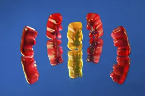 Colorful Sweets Drucke: Five gummi bears