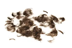 Deserted Barber Shop Drucke: Hairs on white