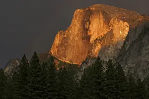Half Dome Yosemite Drucke: Half Dome illuminated by setting sun