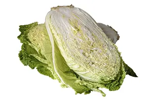 Close Up Detail Drucke: Half head of Beijing cabbage on white background