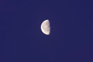 Nocturnal Night View Photo Drucke: Half moon