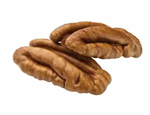 Pecan Nut Drucke: Two Half a Pecan Nut Isolated on White Background