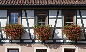 German Building Structure Drucke: A half-timbered house with flower boxes in the window