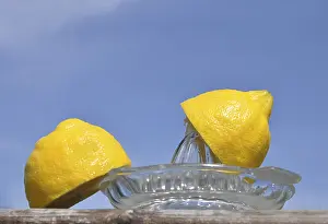 Fresh Lemons Drucke: Two halfs of a lemon on a lemon squeezer