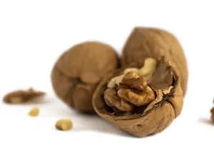 White Background Walnuts Drucke: Halves and a bunch of walnuts on a white background close up