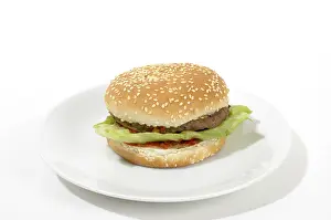 Hamburger Meal Drucke: Hamburger