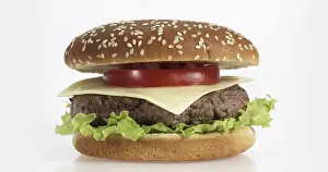 High Calorie Fast Food Drucke: Hamburger against White Background