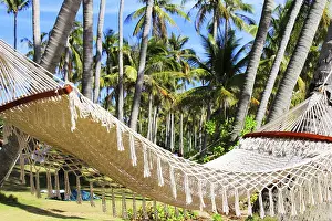 Southeast Asia Landscape Drucke: Hammock between two palm trees on the beach