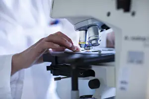 Female Lab Technician Drucke: Hand of a lab technician with microscope and sample working in a lab with light microscope