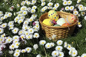 Traditional German Easter Decorations Drucke: Hand-painted Easter eggs in a chip basket between daisies