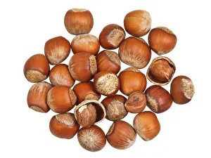 Nutrition Food Drucke: Handful of hazelnuts on white background