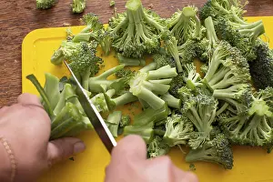 Cabbage Vegetable Images Drucke: Hands cutting broccoli cabbage
