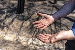 Global Warming Effects Drucke: Hands of a firefighter man in the forest fire
