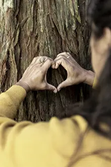Heart Shape Symbol Drucke: Hands form a heart shape against a textured tree trunk