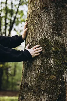 Tree Trunk Texture Drucke: Hands gently touch the mossy surface of a tree trunk