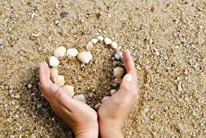 Muschel Drucke: Hände umschließen ein Herz aus Muscheln