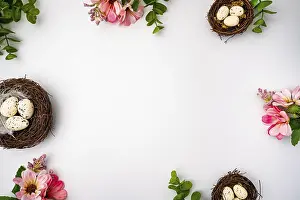 Spring Flowers Drucke: Happy Easter background with easter eggs in nest and spring flowers