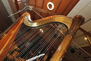 Plucked String Instrument Drucke: Harp