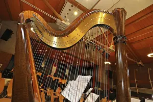 Plucked String Instrument Drucke: Harp