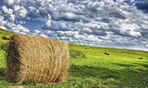 Agricultural Landscape Europe Drucke: After harvest