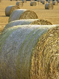Geometric Shapes Drucke: Harvest time