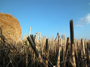 Blue Sky Agriculture Drucke: Hay