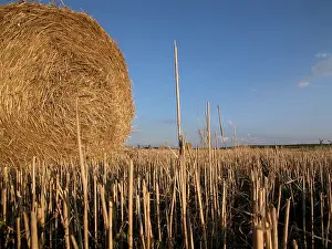 Blue Sky Farming Drucke: Hay