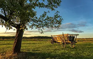 Serene Countryside Scene Drucke: Hay wagon, apple tree, sunset, flatness