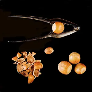 Hazelnut Nutrition Drucke: Hazel nuts with nutcracker