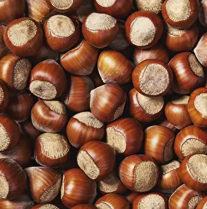 Hazelnut Background Drucke: Hazelnut background close-up, top view