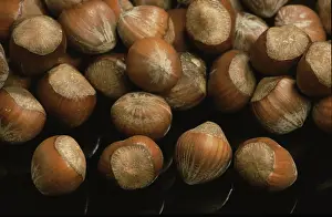 Uninhabited Dining Table Drucke: Hazelnuts