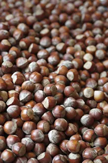 Close Up Hazelnuts Drucke: Hazelnuts