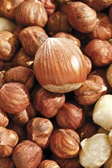 Full Format Food Photography Drucke: Hazelnuts, full format