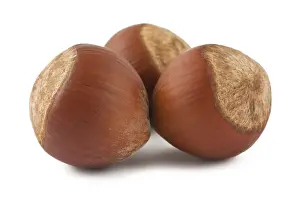 Studio Shot Nuts Drucke: Three hazelnuts isolated on white background