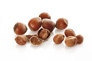 Hazelnut Nutrition Drucke: Hazelnuts, with and without shell