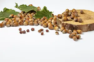 Nut Photography Drucke: Hazelnuts in and without shell on and next to wooden disc