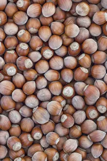 Food Background Images Drucke: Hazelnuts. Stack of hazelnuts. Food background