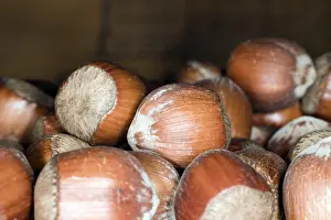 Empty Studio Background Drucke: Hazelnuts, Studio Photography