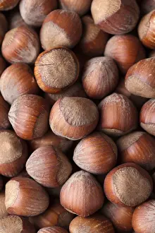 Open Air Environment Drucke: Many whole hazels