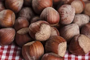 Hazelnut Plant Drucke: Many whole hazels