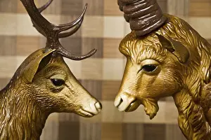 Drucke von Kopf eines Hirsches und der Kopf eines Steinbocks, Plastik, schaut sehnsüchtig in die Augen des anderen Alpensteinbock Drucke: Hirschkopf und Steinbockskopf.