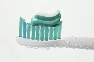 Dental Care Drucke: Head of a toothbrush with toothpaste