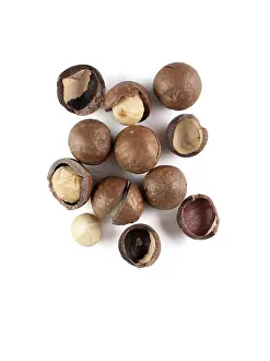 Top Down View Of Nuts Drucke: Heap of macadamia nuts on white background with clipping path