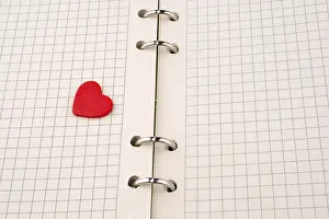 Symbolic Heart Picture Drucke: Heart on a checked notebook