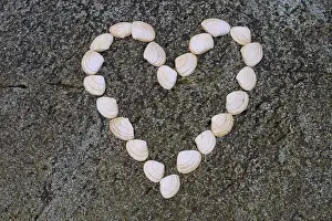 Uninhabited Waterside Scene Drucke: A heart formed from shells on a stone surface
