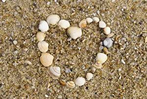 Muschel Drucke: Herz aus Muscheln im Sand.